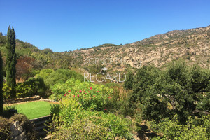 property with sea view in le Lavandou
