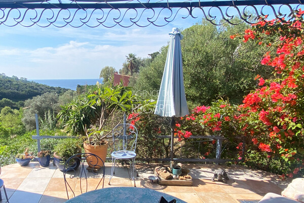 Property with sea view in Levant island