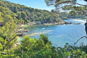 property with sea view in Giens